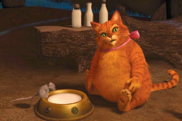 Shrek forever cat fat lapul red bow