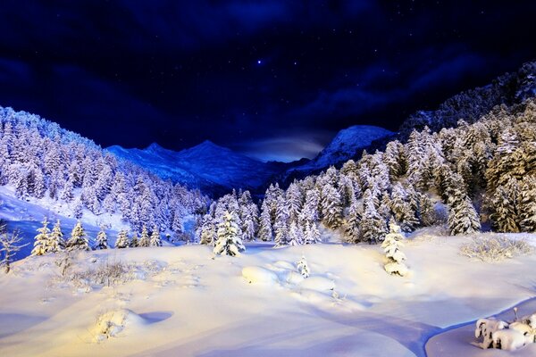 Winter landscape of cold water