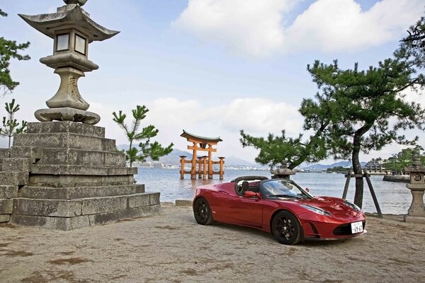 Car on the background of the sea and pine trees