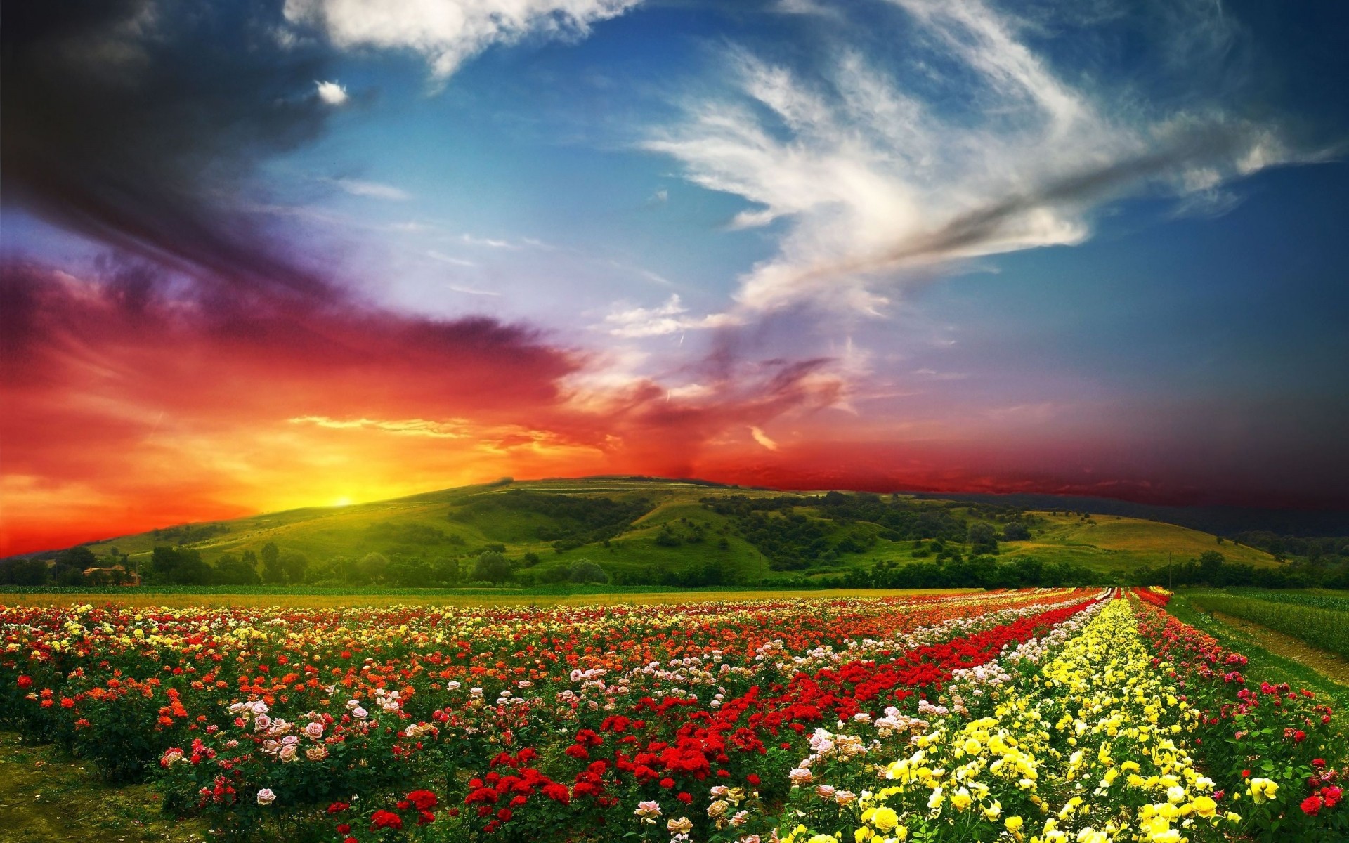 landschaft blume landschaft himmel natur feld im freien des ländlichen sonnenuntergang gras landwirtschaft landschaft bebautes land heuhaufen sonne sommer drh hügel wolken