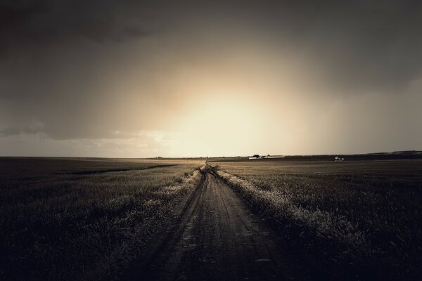 Sunset on the background of a foggy road going into the distance