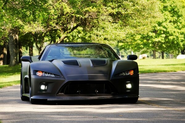 Black matte car in the greenery of trees