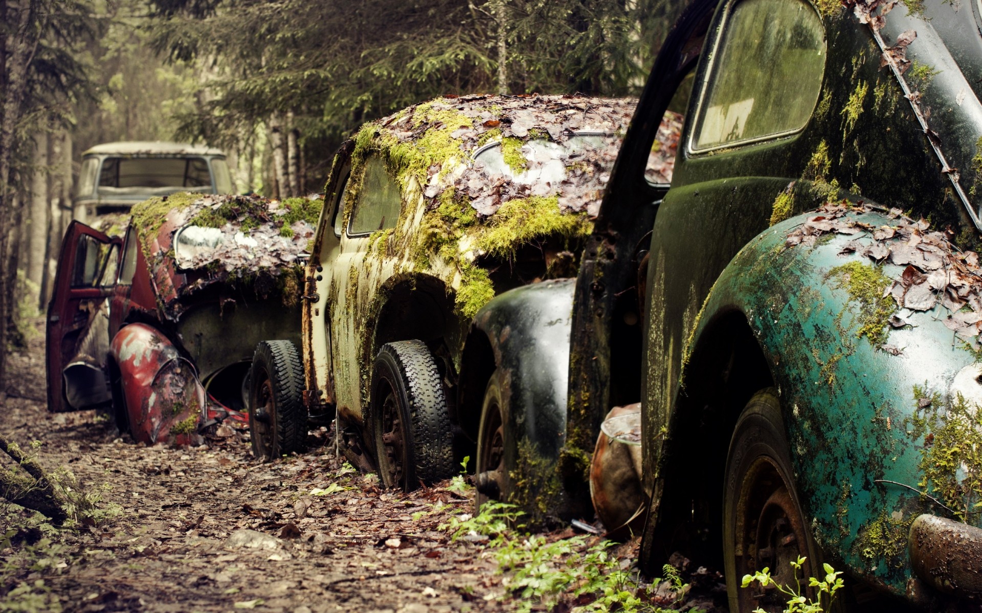 autres appareils voiture véhicule système de transport épave cassé abandonné camion ordures accident épave vintage forêt parc