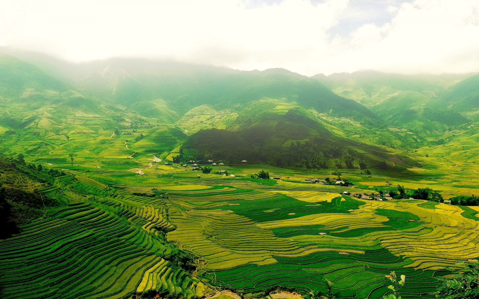 paisagens terras cultivadas natureza viagens agricultura paisagem ao ar livre rural crescimento plantações vale campo colina verão montanha folha madeira árvore terras agrícolas tropical