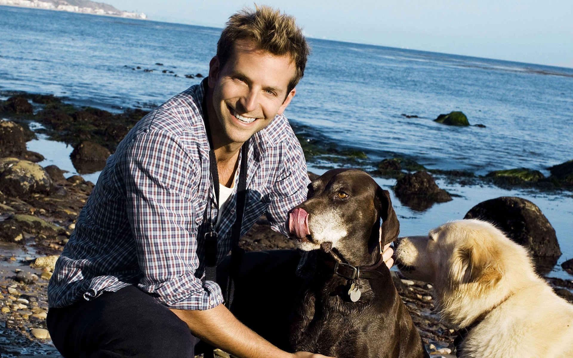 acteurs eau à l extérieur plage un mer chien mer portrait loisirs océan loisirs deux mammifère adulte