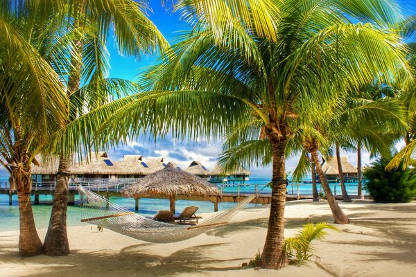 Tropischer Strand mit Palmen und Hängematte