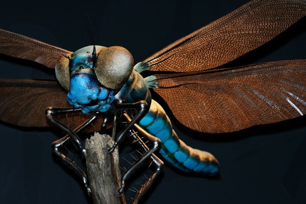 Blue dragonfly with red wings