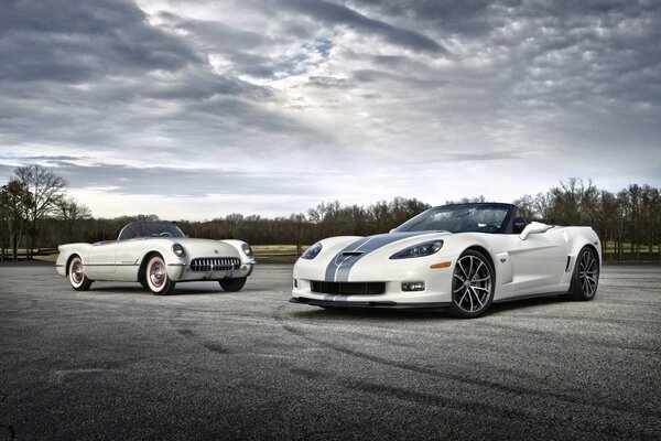 Two white cars on the asphalt