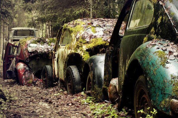 Un sacco di auto retrò abbandonate