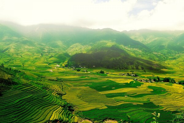 Beautiful spring landscape. Cultivation of land in agriculture