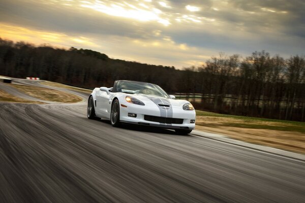 Beautiful white racing car