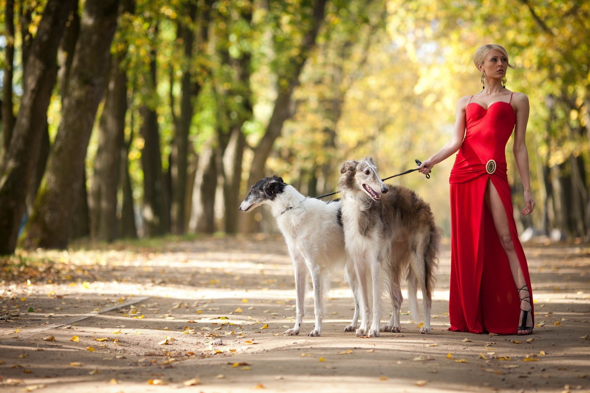 otras chicas perro chica retrato naturaleza caminar joven mascota al aire libre animal