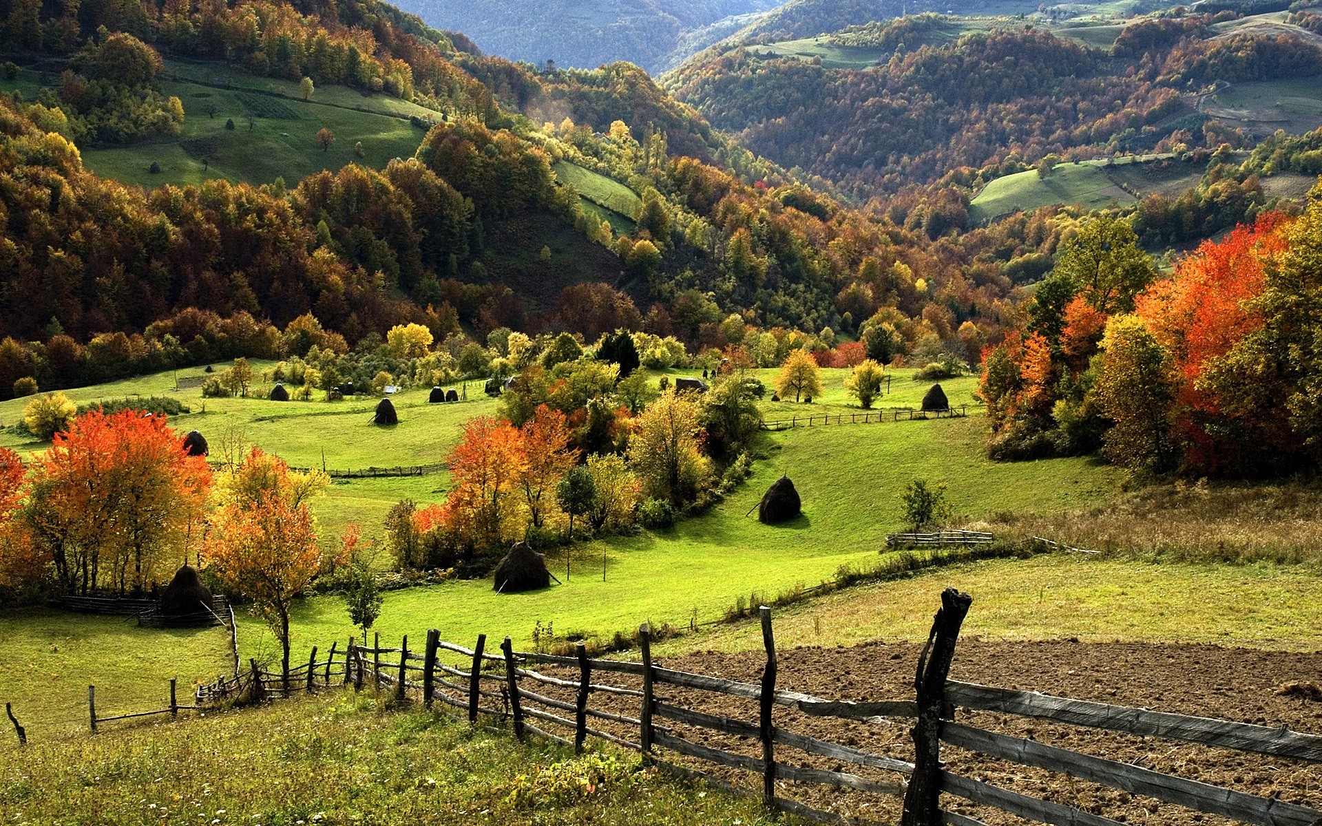 landscapes landscape nature tree countryside fall outdoors rural wood agriculture grass hill scenic travel cropland pasture sky farm mountain valley mounatins hills