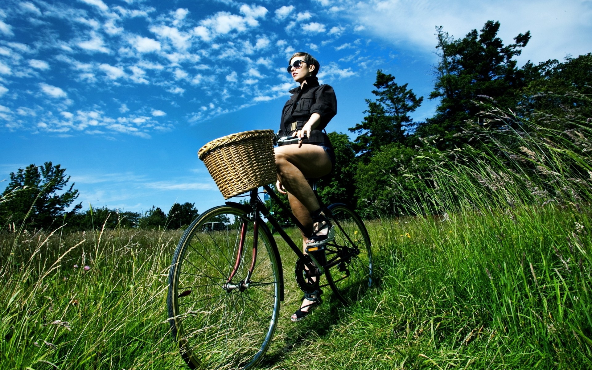 cyclisme herbe été à l extérieur nature loisirs roues loisirs ciel liberté bois foin paysage fond femme