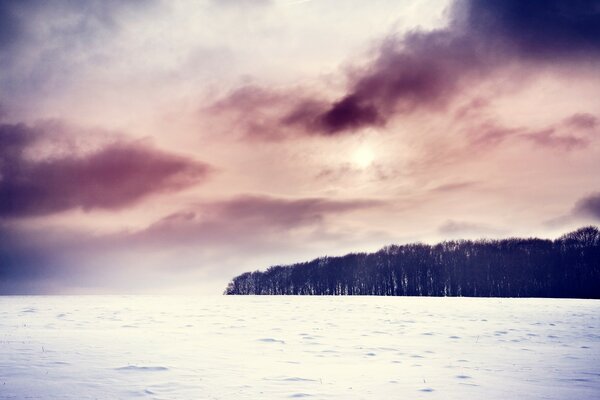 Paysage de ciel de l eau et au loin de la forêt