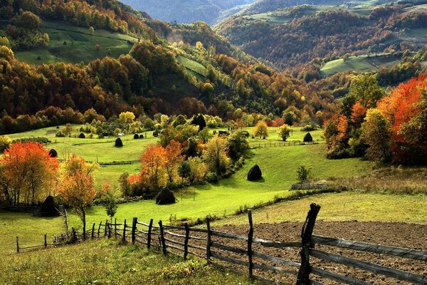 Gorgeous autumn multicolored nature in the countryside