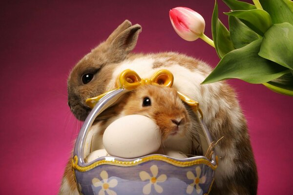 Cute Easter bunnies in a basket