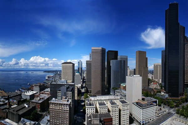 Panorama de los rascacielos en la ciudad