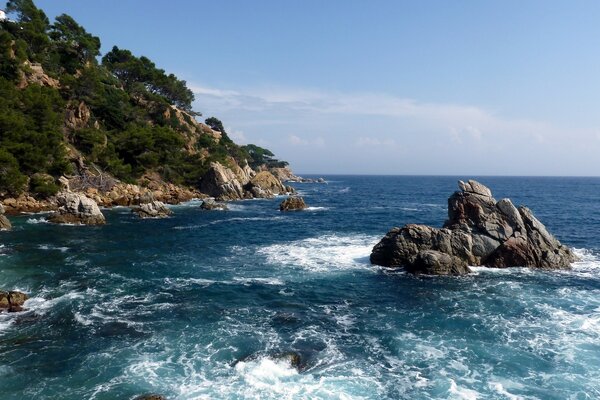 Paisaje de las profundidades marinas con la orilla de piedra