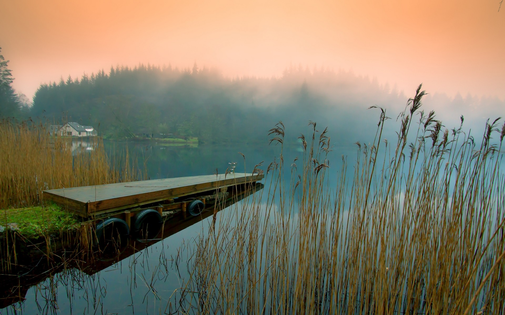 landscapes dawn sunset water lake nature reflection sun landscape sky fog outdoors travel light mist wood summer river evening dusk plants