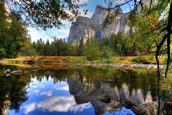 A pond in the forest at the foot of the mountains