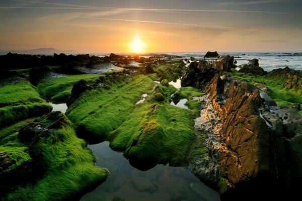 Rocas cubiertas de hierba en forma de islotes al atardecer