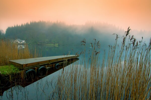 Evening sunset on the lake with reeds