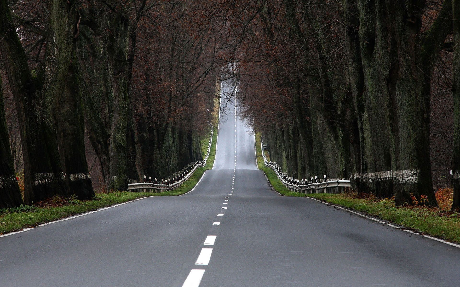 droga przewodnik drzewo krajobraz drewno autostrada pas podróż asfalt natura system transportu dysk na zewnątrz park