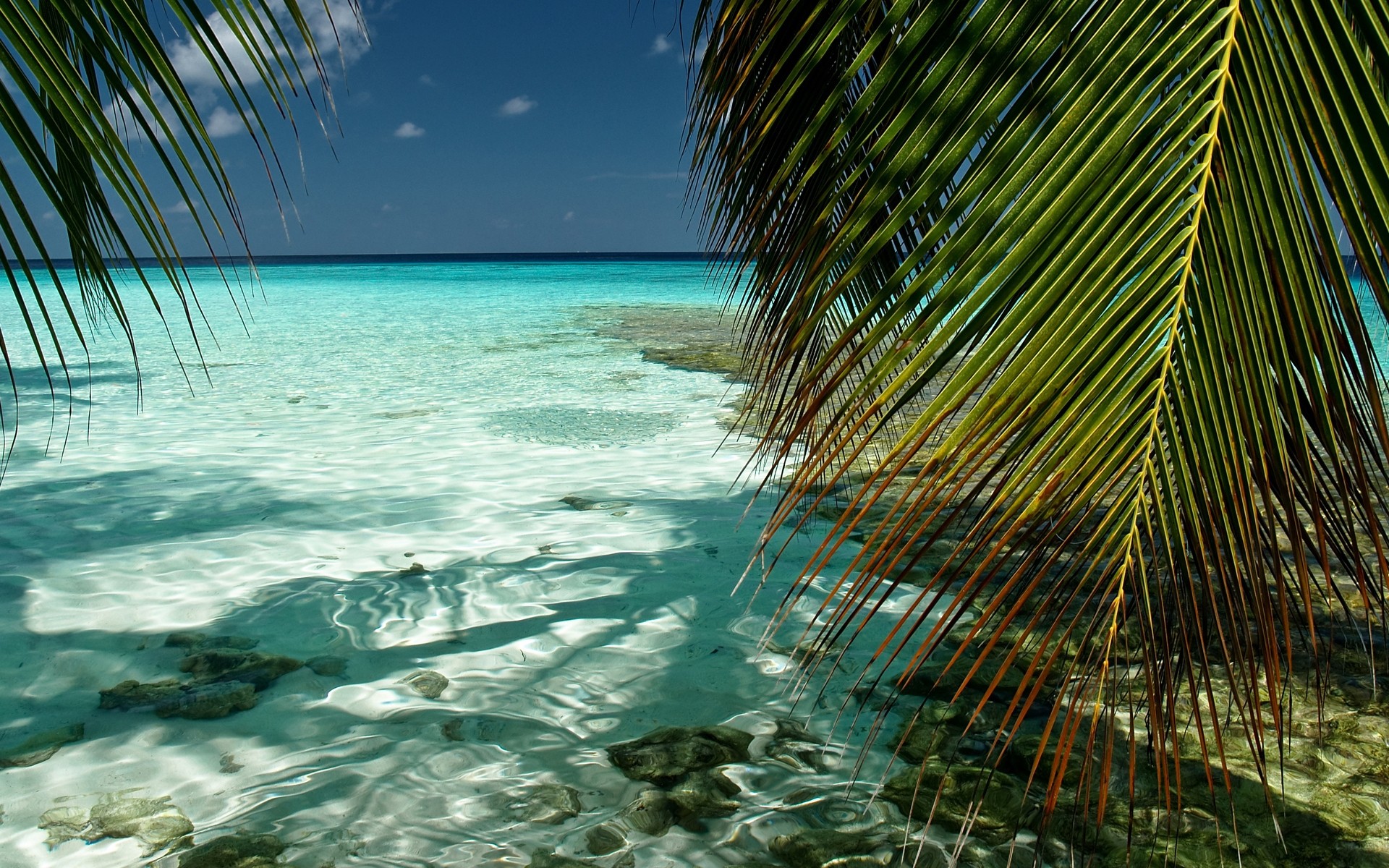 landschaft tropisch wasser strand reisen ozean sommer meer meer türkis insel urlaub sand sonne paradies resort himmel idylle gutes wetter exotisch kaafu malediven indischer ozean laub landschaft