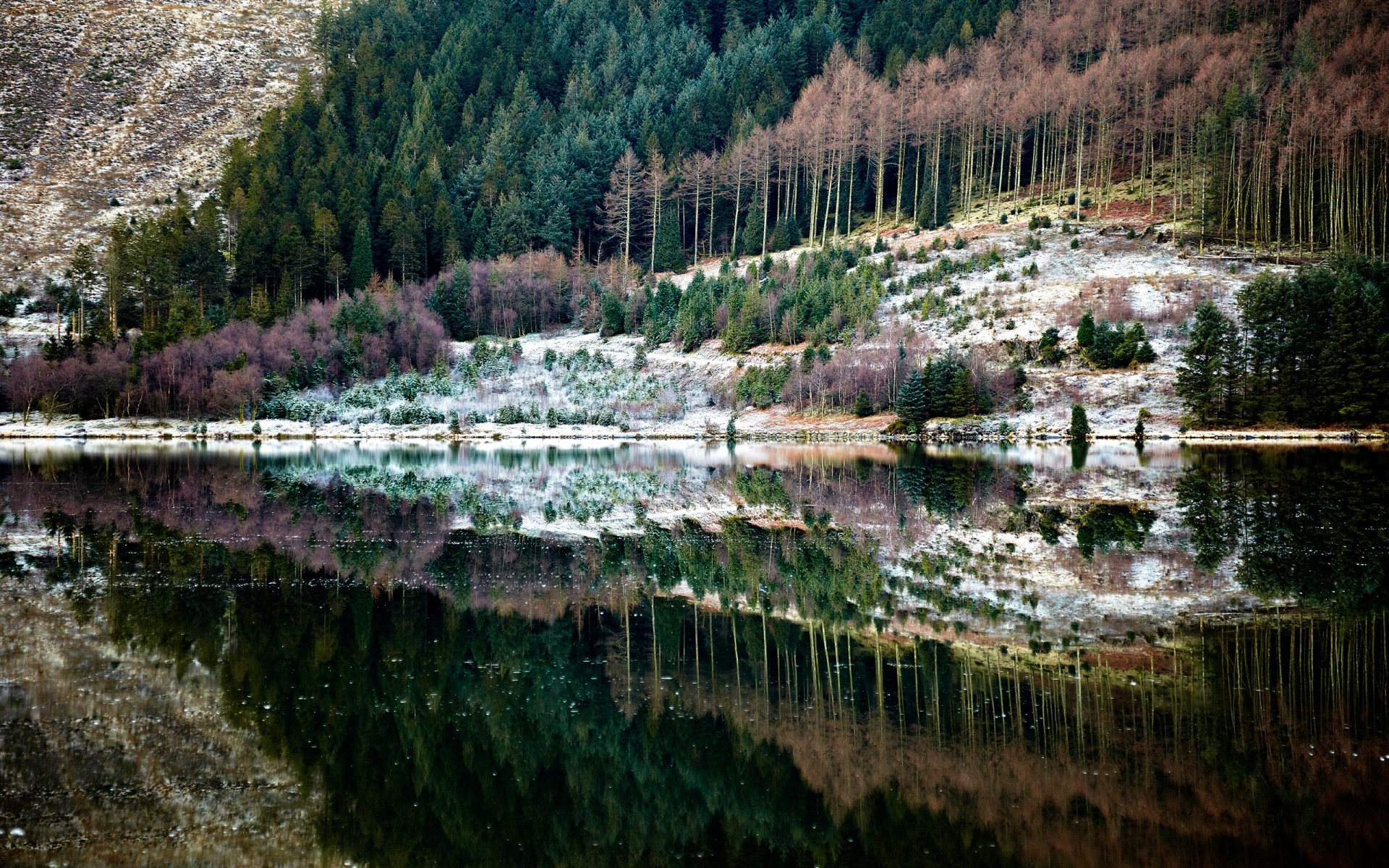 paesaggio acqua natura fiume paesaggio viaggi lago legno riflessione montagna albero scenico all aperto cielo verde sfondo