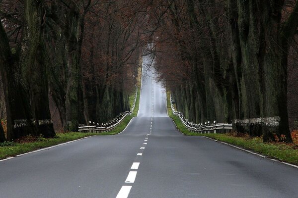 Paisajes carretera caminos bosques árboles fotos