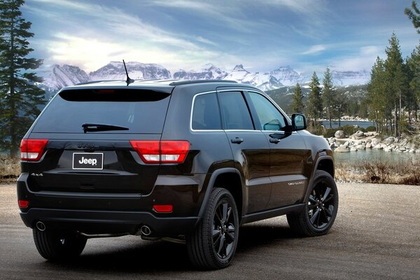 Black Jeep rear and side view