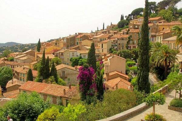 Medvedev s vineyards are located there