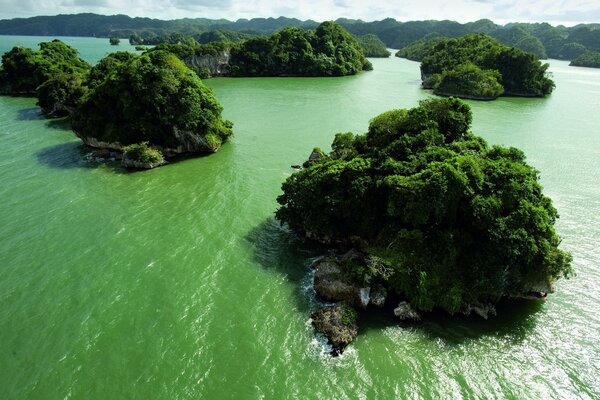 Clear water. Individual islands with green trees