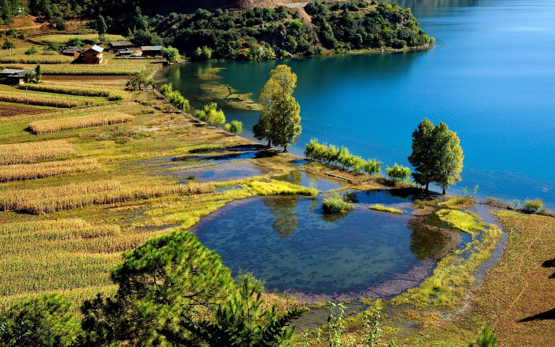 landscapes water nature travel landscape tree outdoors scenic river sky lake summer sight countryside tropical seashore grass rural agriculture wood background sea