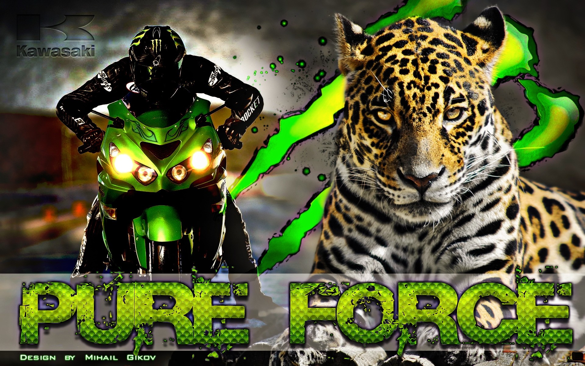 kawasaki gefahr illustration natur tier tiger rennen leopard hintergrund