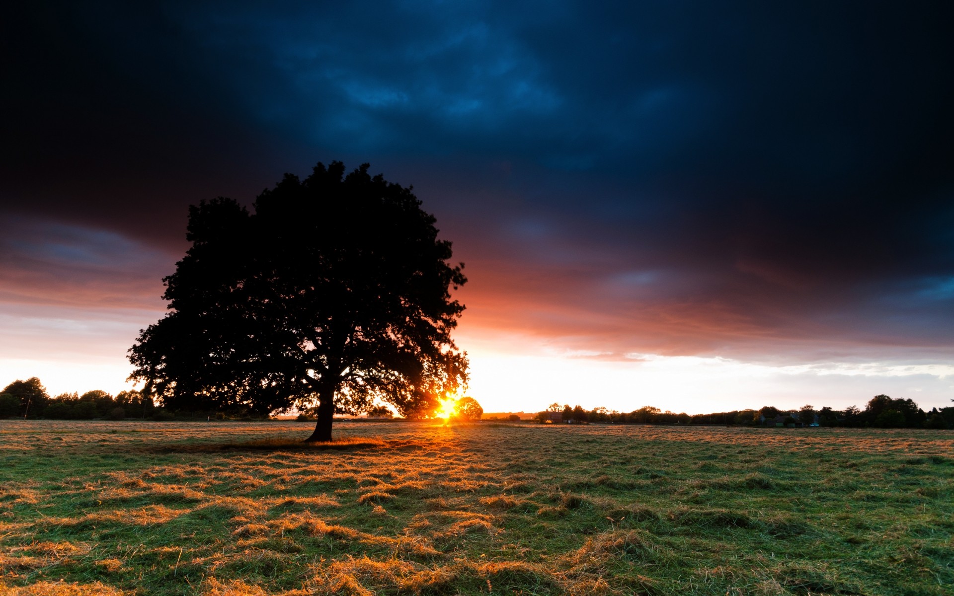 paisaje puesta de sol amanecer sol naturaleza cielo crepúsculo paisaje noche buen tiempo al aire libre verano fondo árbol