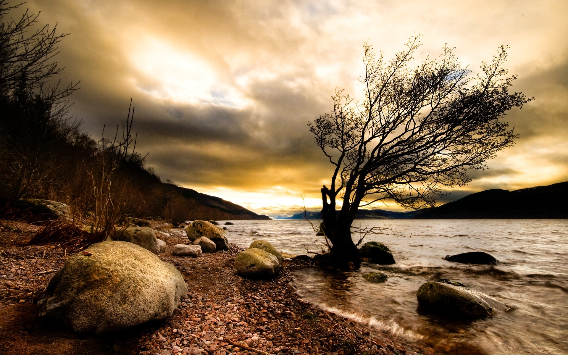 landscapes sunset dawn nature water landscape evening beach sun sky dusk tree fall outdoors sea trees background dark