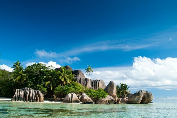 A tropical island with palm trees and a beach