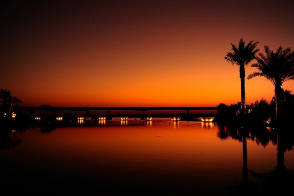 Sunset on the beach in the United Arab Emirates