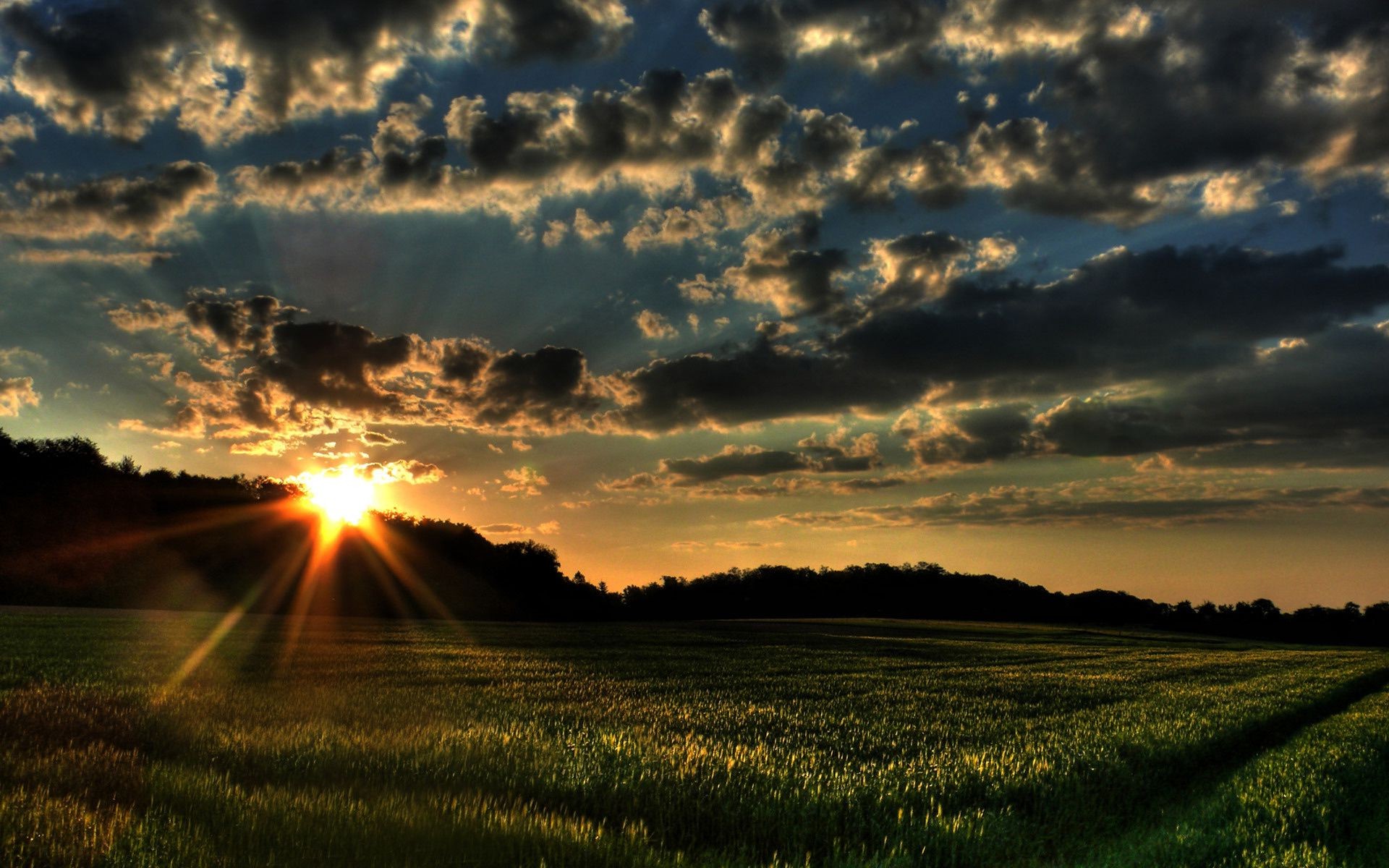 campos prados y valles puesta del sol amanecer paisaje naturaleza cielo rural campo buen tiempo campo hierba agricultura trigo granja nube noche