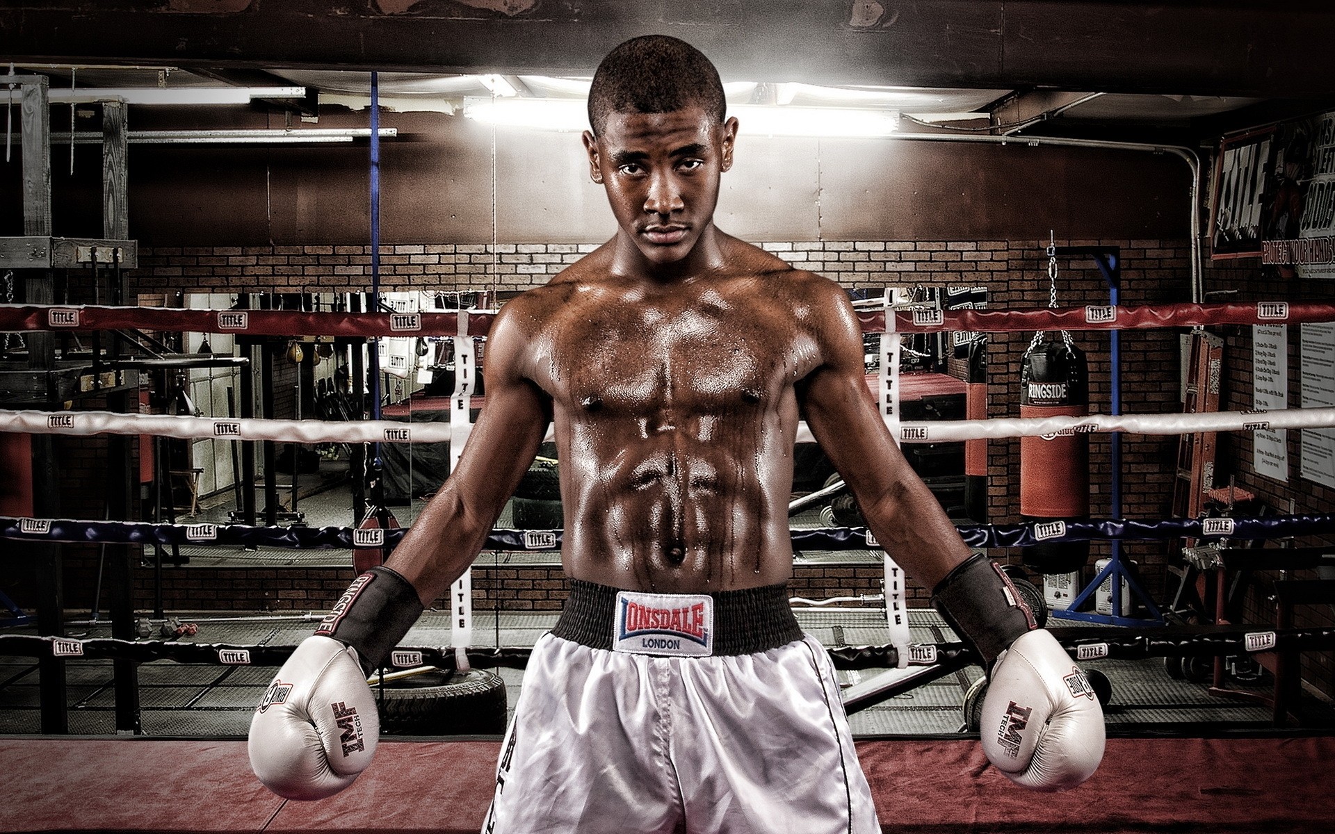 boxeo atleta competencia hombre adulto solo muscular interior retrato fuerza boxeador ejercicio músculo fitness deportes fuerte equipo deportivo