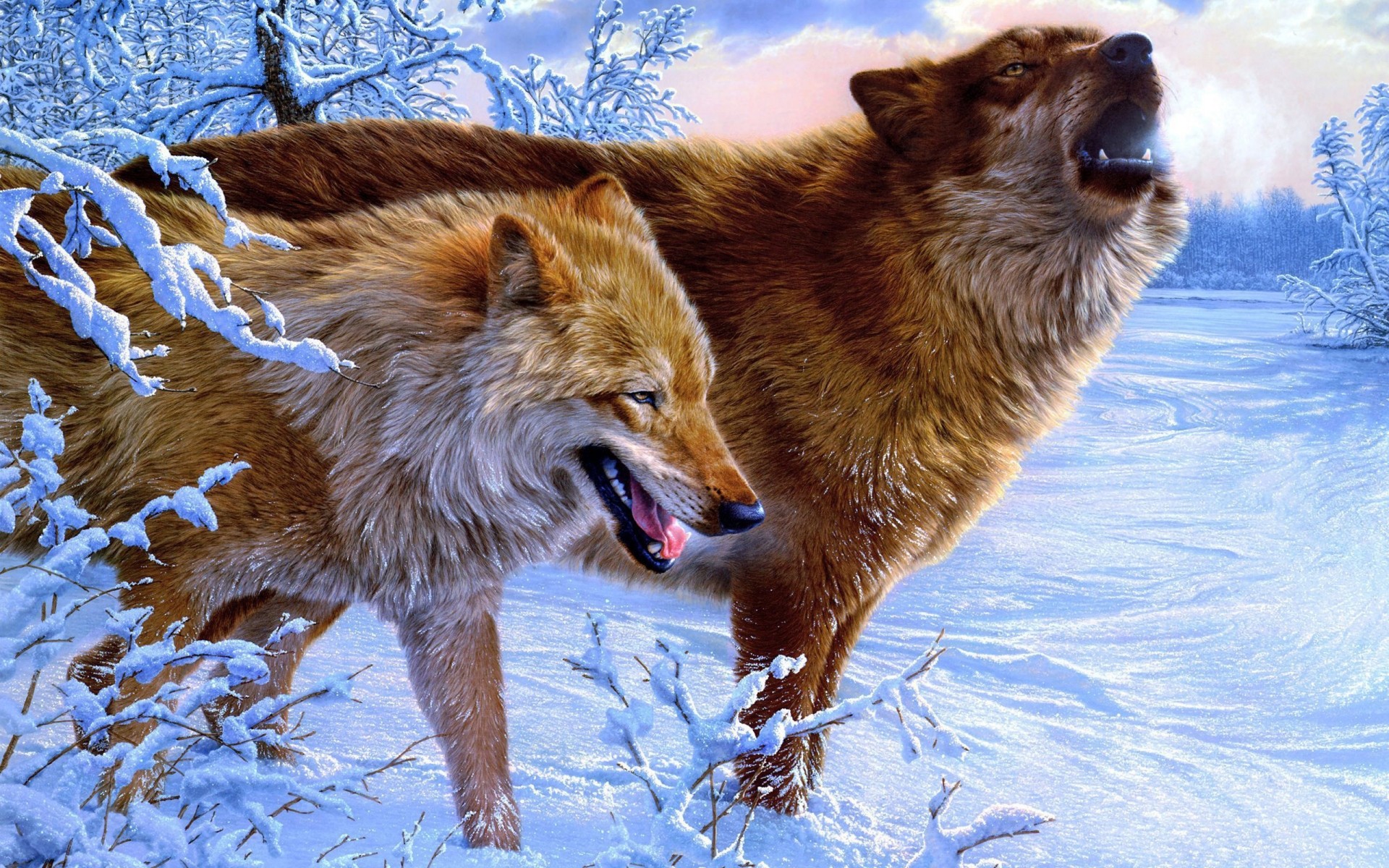 animals mammal snow winter wildlife nature animal outdoors frosty cold canine fur wild paint wolf wolves