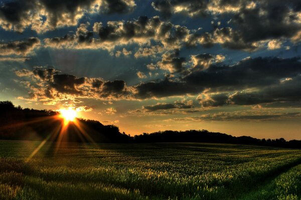 Feld in den hellen Strahlen der aufgehenden Sonne am bewölkten Himmel