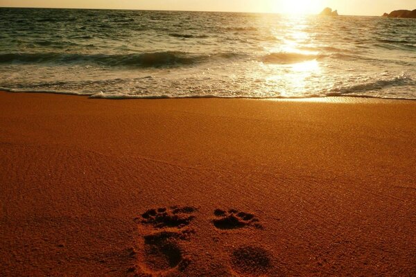 Spuren im Sand. Sonnenuntergang am Meer