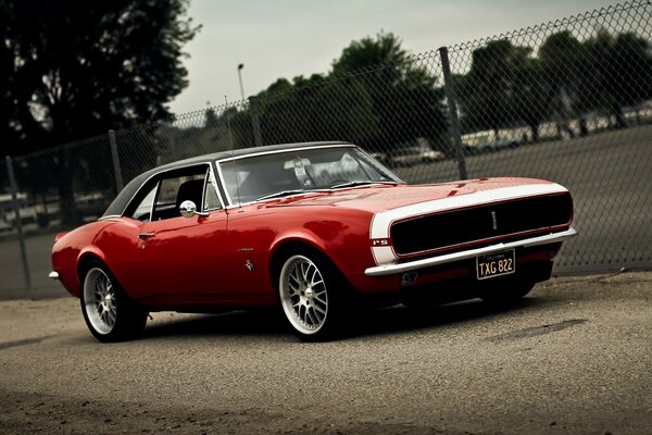 A rare chevrolet eats through the streets of the city