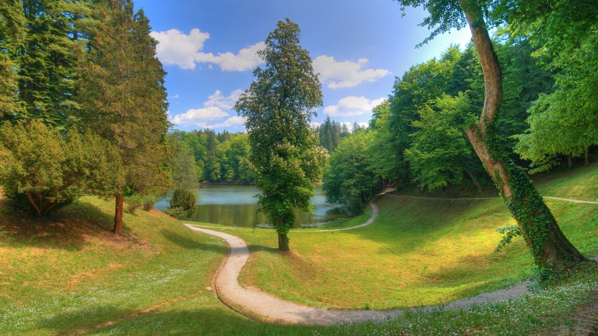 ağaçlar ağaç manzara çimen doğa ahşap açık havada yol seyahat doğal yaz rehberlik park ortamlar gökyüzü gün ışığı çim