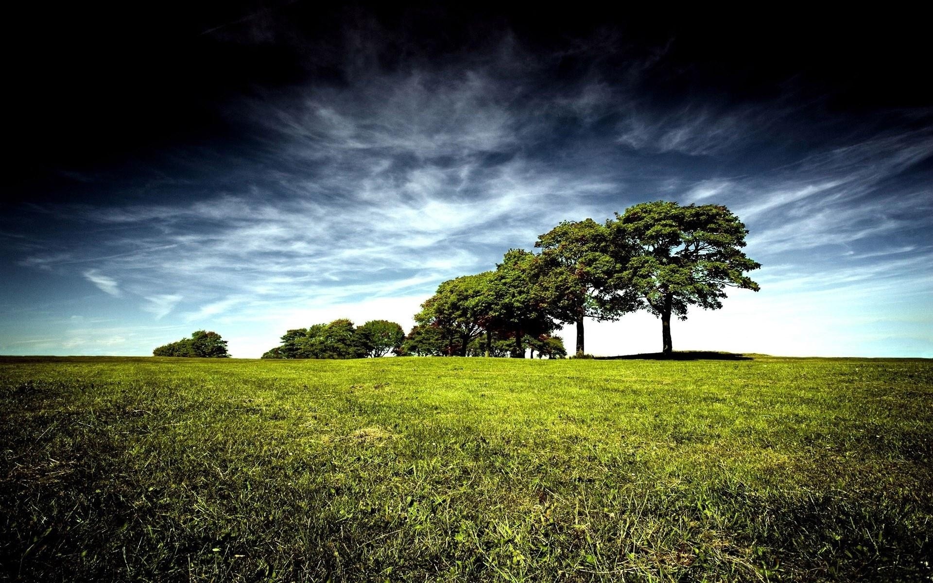 paisaje paisaje árbol naturaleza hierba cielo campo al aire libre campo heno rural sol