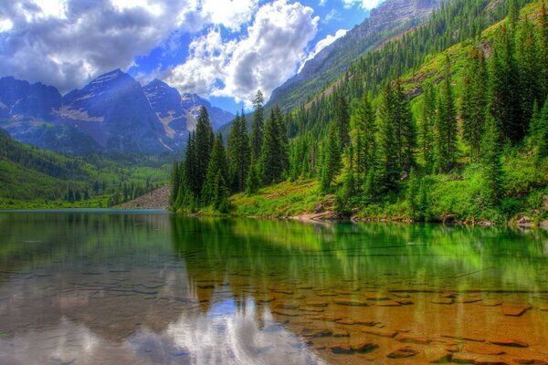 Gorgeous nature with crystal clear water