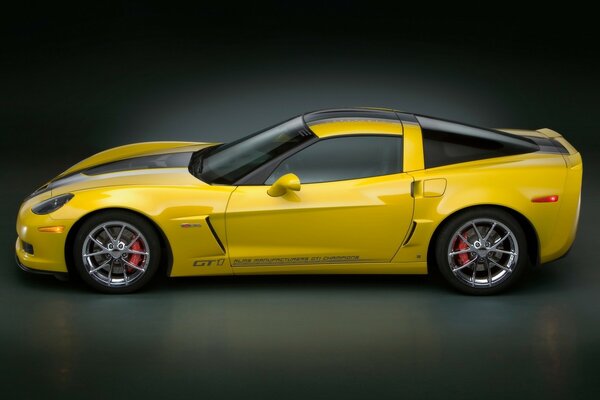 Corvette GT1 Championship Edition Side 2009